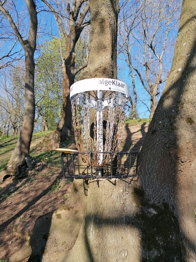 disc golf putter standing on the rim