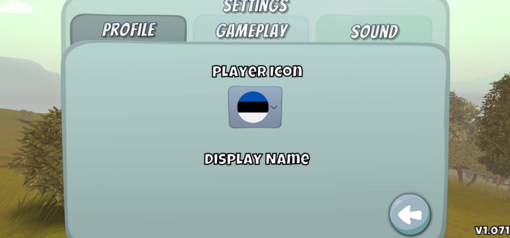 Disc Golf valley settings user name and player icon