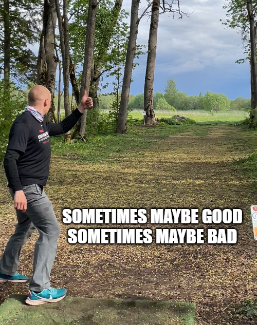 sometimes good sometimes bad disc golf